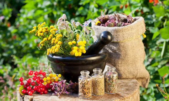Herbs from Helmints
