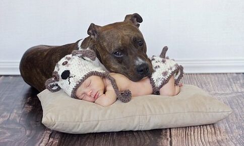 Kid with dog