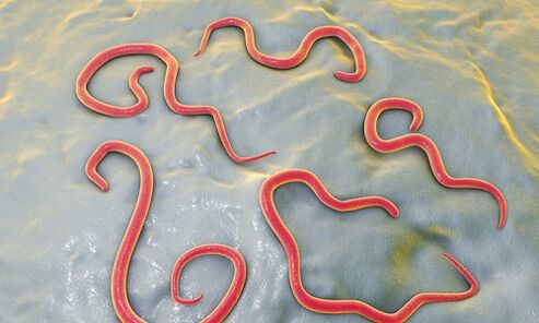 Parasites